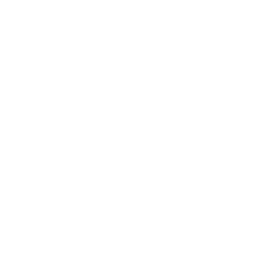 Grupo Michigan